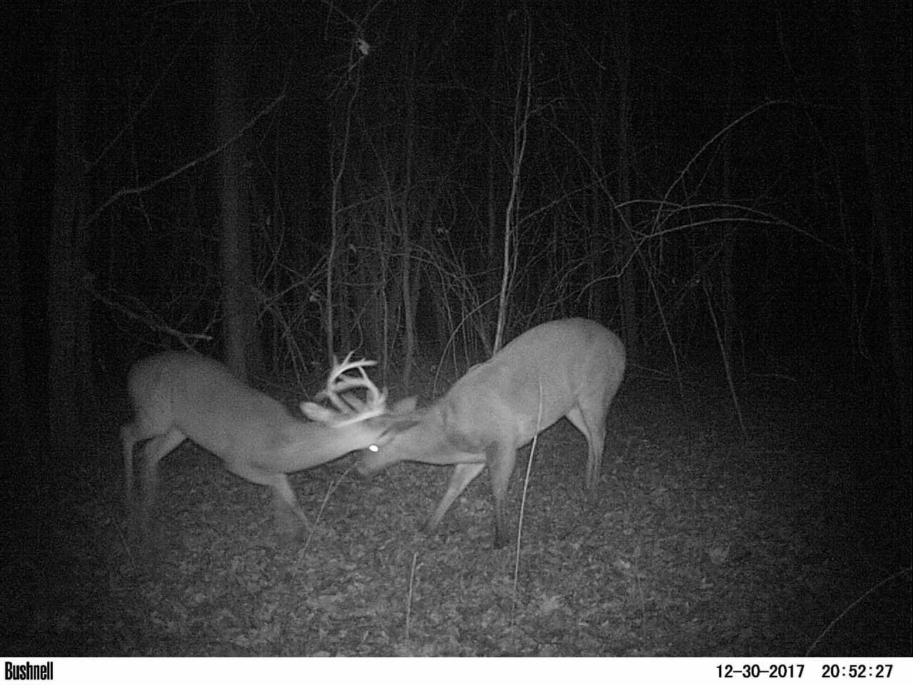 885 Burrell Road Goodman, MS 39079 - Photo 20 of 38 Photo 20