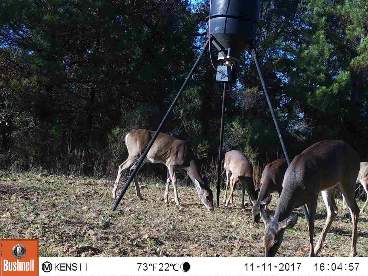 885 Burrell Road Goodman, MS 39079 - Photo 21 of 38 Photo 21