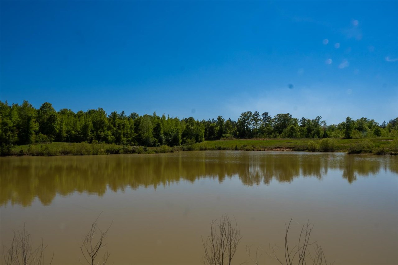 885 Burrell Road Goodman, MS 39079 - Photo 22 of 38 Photo 22