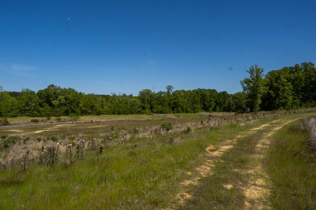 885 Burrell Road Goodman, MS 39079 - Photo 23 of 38 Photo 23