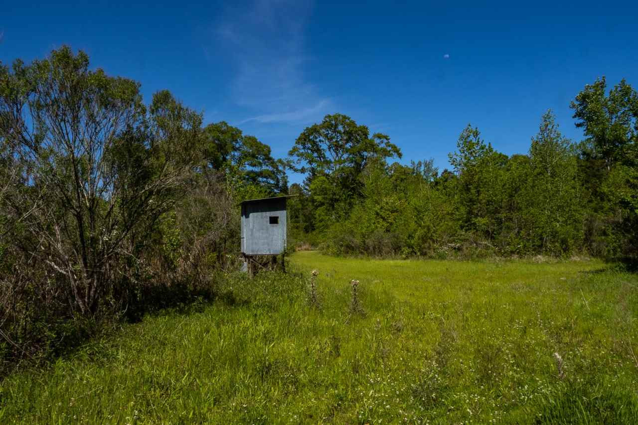 885 Burrell Road Goodman, MS 39079 - Photo 26 of 38 Photo 26