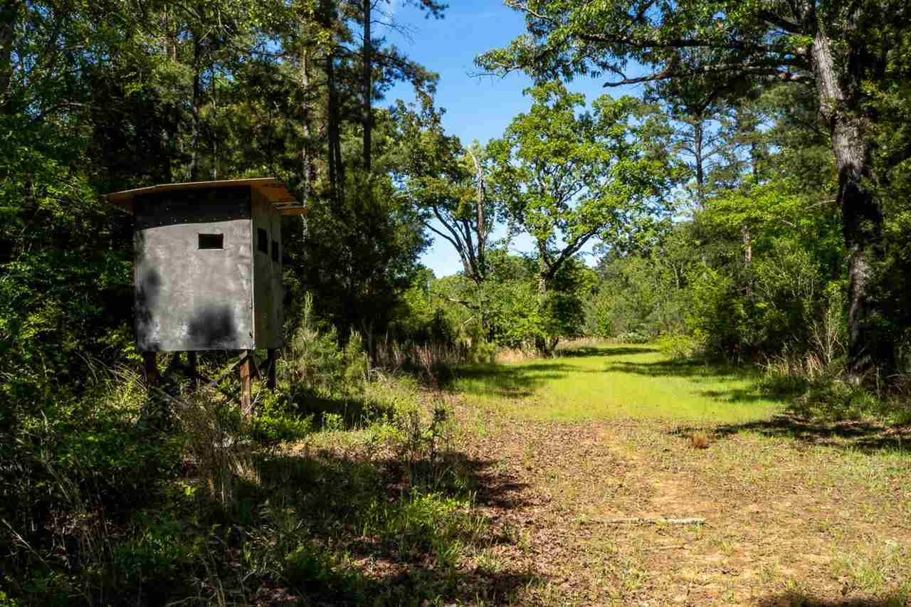 885 Burrell Road Goodman, MS 39079 - Photo 29 of 38 Photo 29