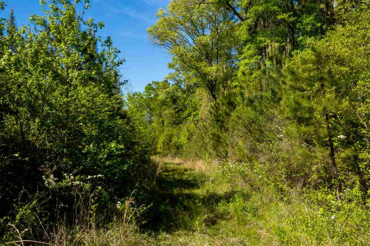 885 Burrell Road Goodman, MS 39079 - Photo 30 of 38 Photo 30