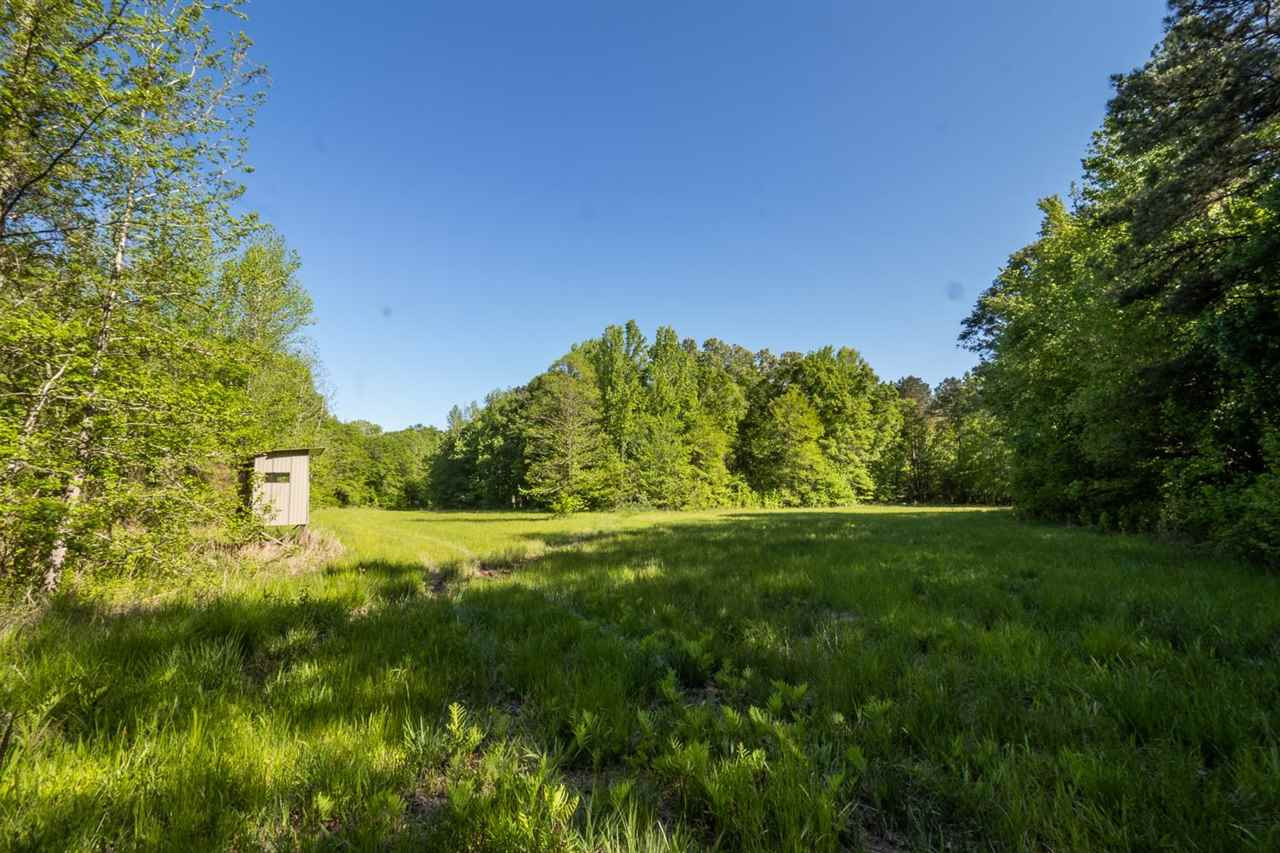 885 Burrell Road Goodman, MS 39079 - Photo 35 of 38 Photo 35