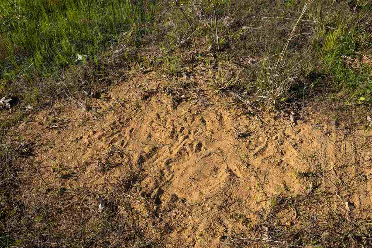 885 Burrell Road Goodman, MS 39079 - Photo 37 of 38 Photo 37
