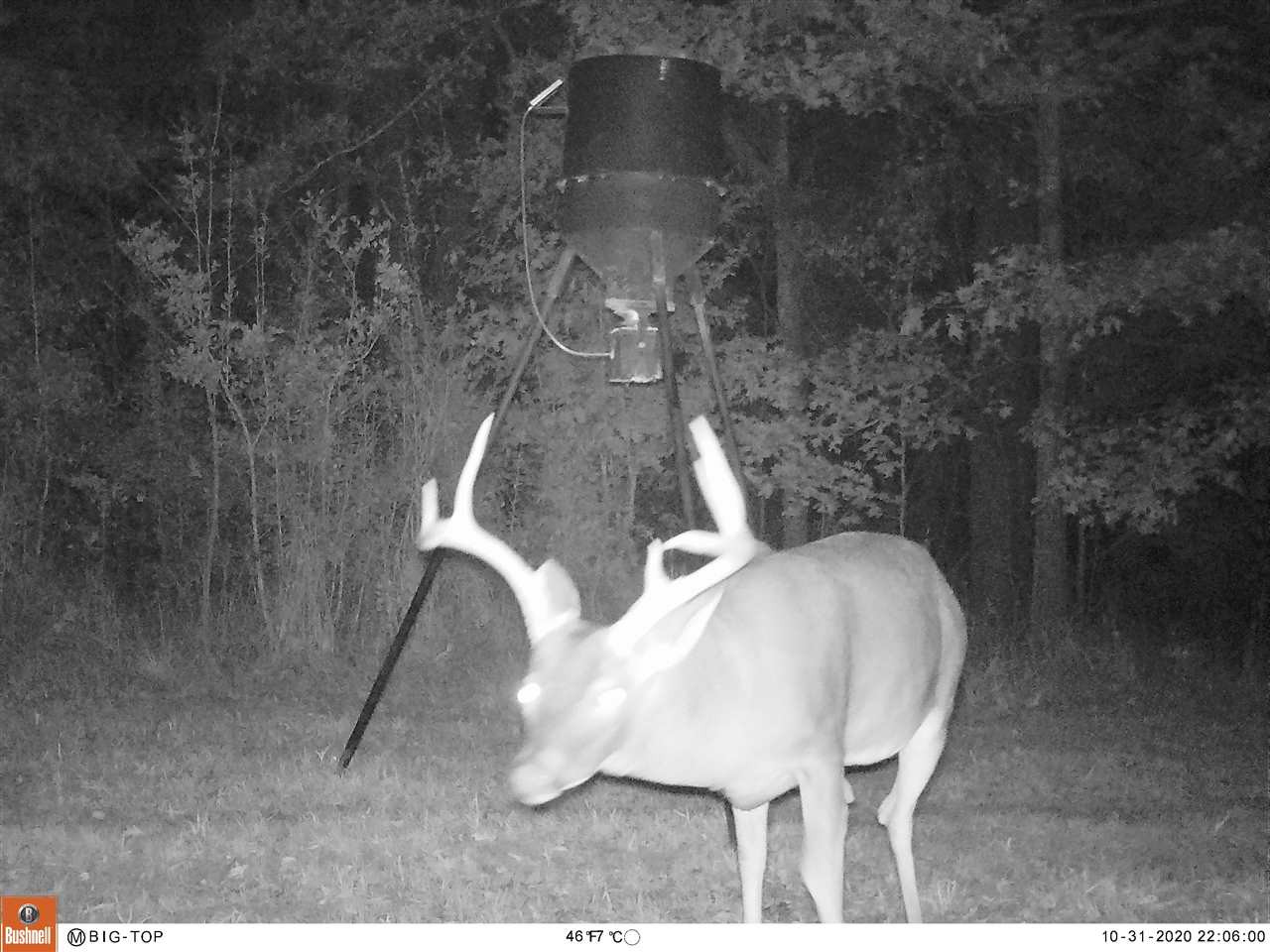 885 Burrell Road Goodman, MS 39079 - Photo 9 of 38 Photo 9