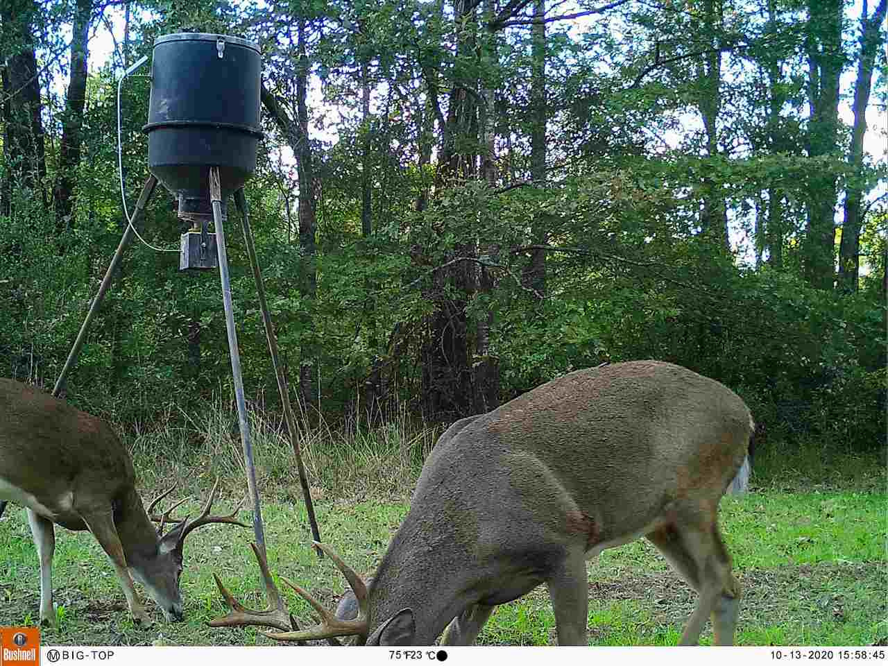 885 Burrell Road Goodman, MS 39079 - Photo 10 of 38 Photo 10