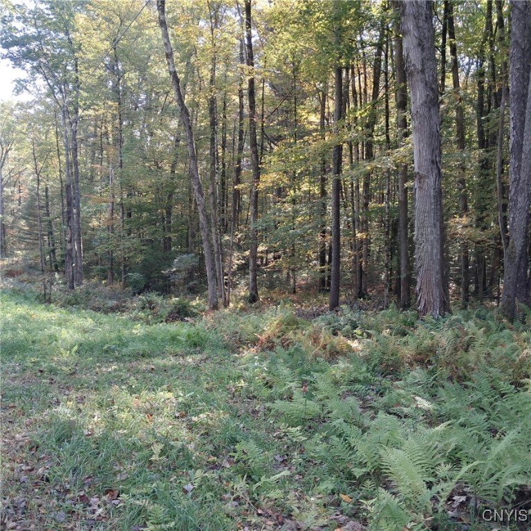 0 Stone Barn Road Cleveland, NY 13042 - Photo 1 of 8