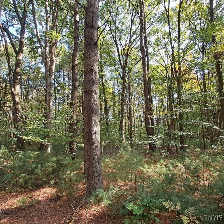 0 Stone Barn Road Cleveland, NY 13042 - Photo 2 of 8