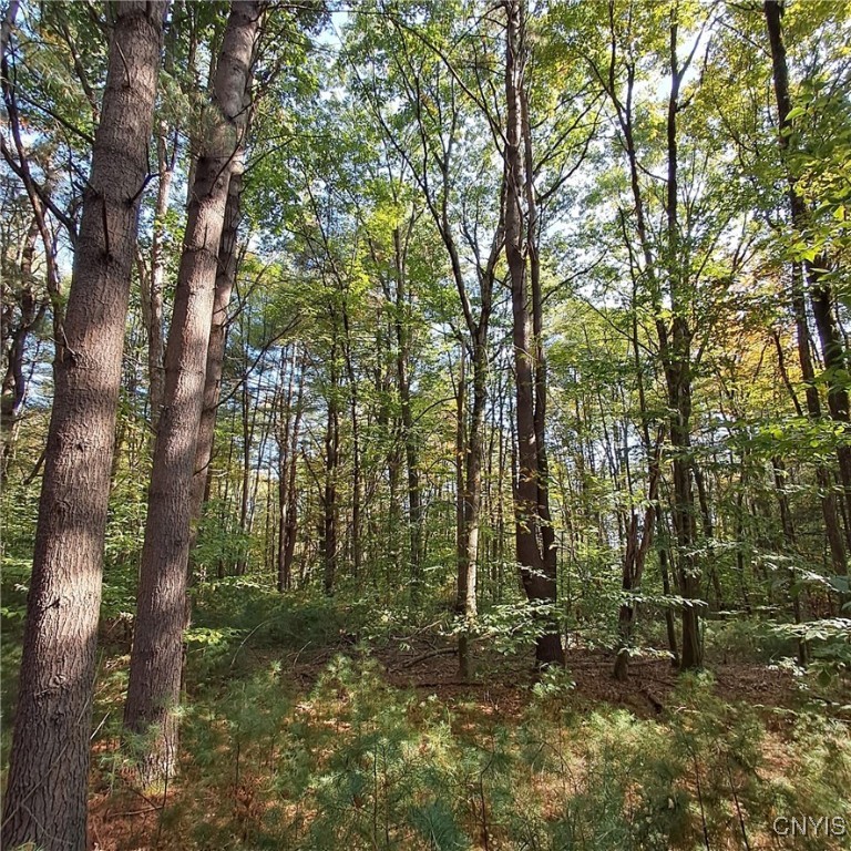 0 Stone Barn Road Cleveland, NY 13042 - Photo 3 of 8