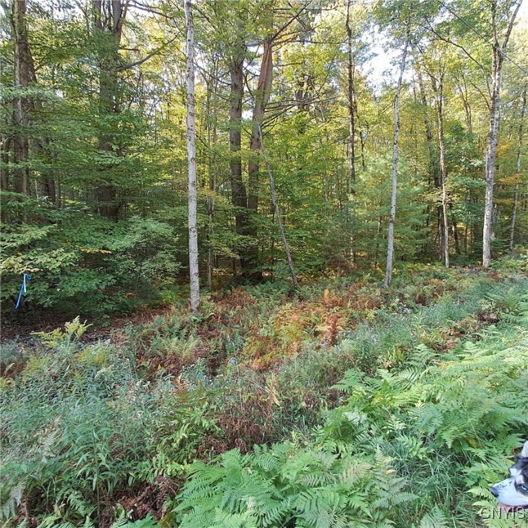 0 Stone Barn Road Cleveland, NY 13042 - Photo 4 of 8