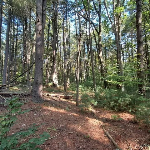 $44,500 | 0 Stone Barn Road, Cleveland, NY 13042