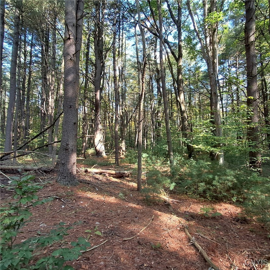 0 Stone Barn Road Cleveland, NY 13042 - Photo 6 of 8