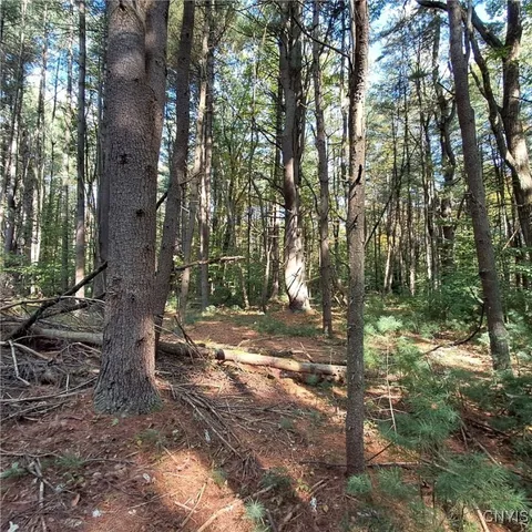 $44,500 | 0 Stone Barn Road, Cleveland, NY 13042