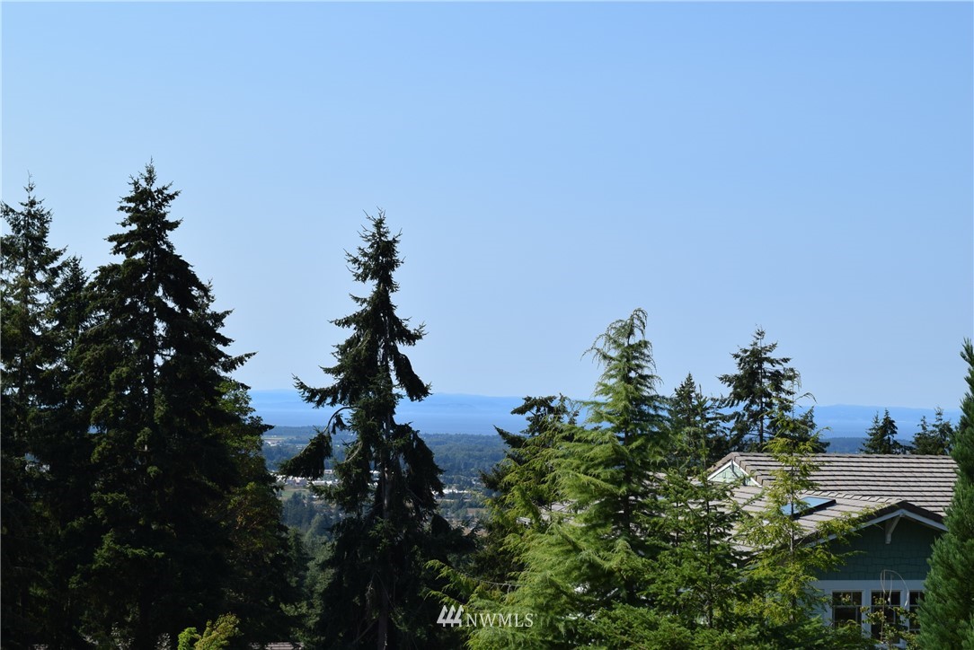 99 Ravens Ridge Road Sequim, WA 98382 - Photo 2 of 13