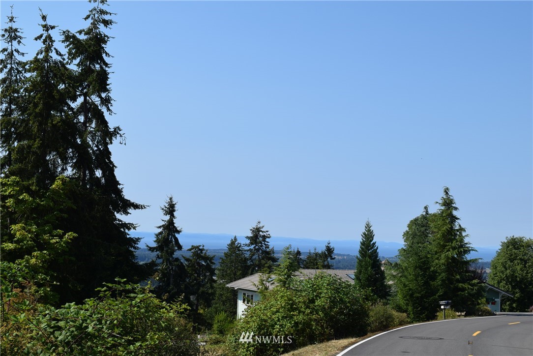99 Ravens Ridge Road Sequim, WA 98382 - Photo 3 of 13