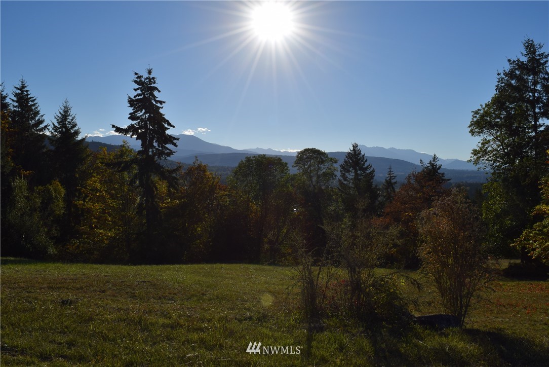99 Ravens Ridge Road Sequim, WA 98382 - Photo 4 of 13
