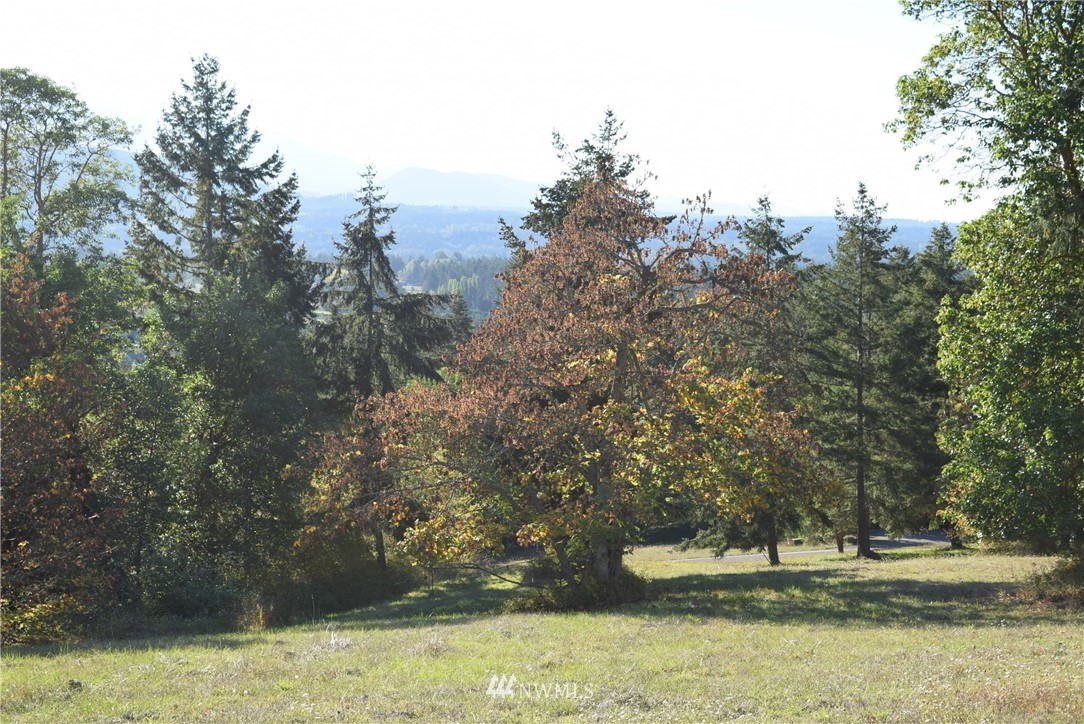 99 Ravens Ridge Road Sequim, WA 98382 - Photo 8 of 13