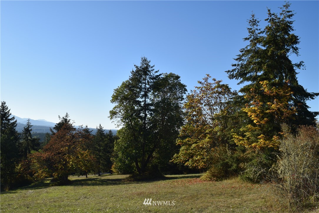 99 Ravens Ridge Road Sequim, WA 98382 - Photo 10 of 13