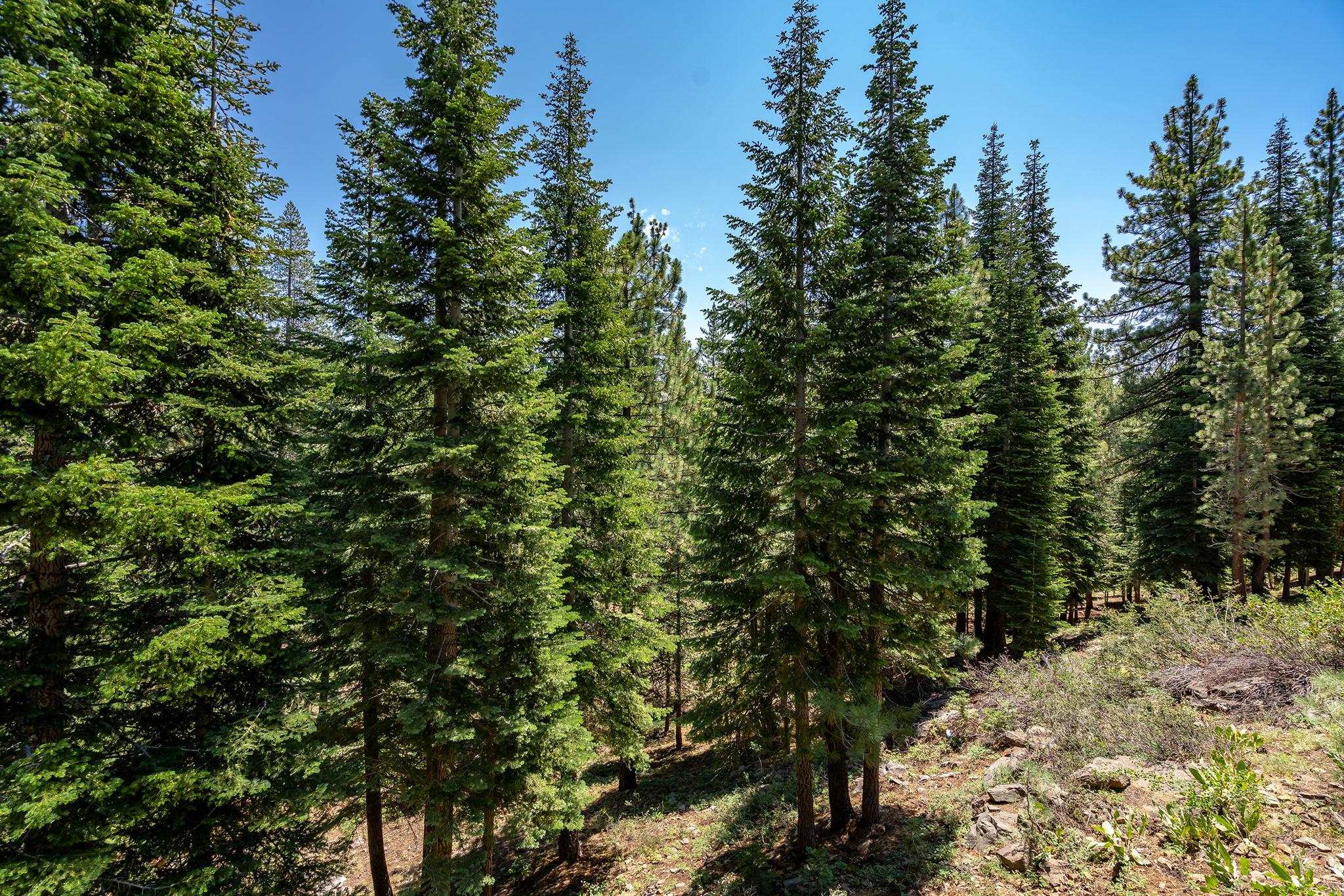 11531 Baden Road Truckee, CA 96161 - Photo 21 of 21 Gallery Image 21