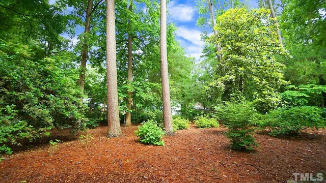 a view of a garden with plants