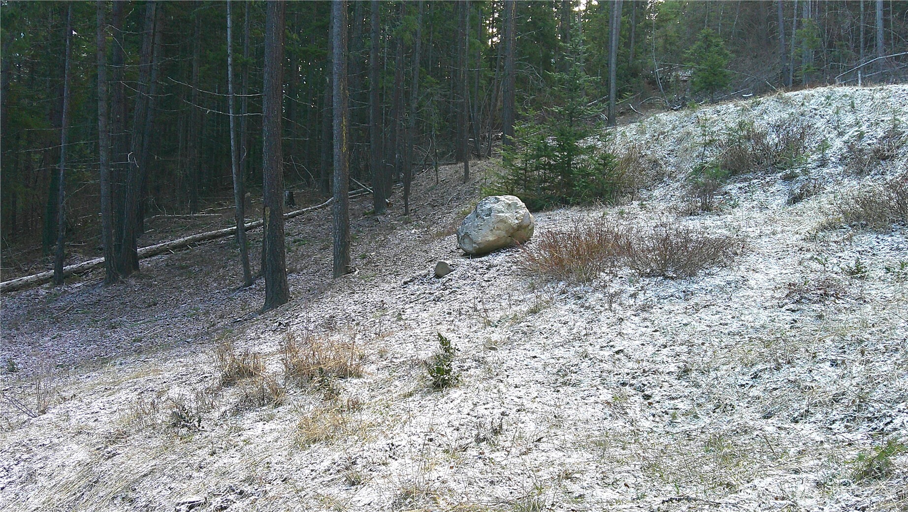 1941 Timber Mountain Loop Cle Elum, WA 98922 - Photo 27 of 31