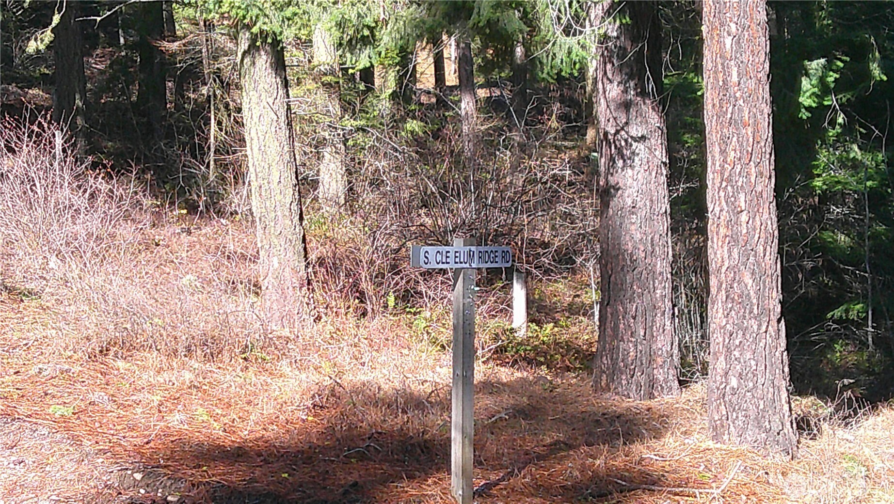 1941 Timber Mountain Loop Cle Elum, WA 98922 - Photo 29 of 31