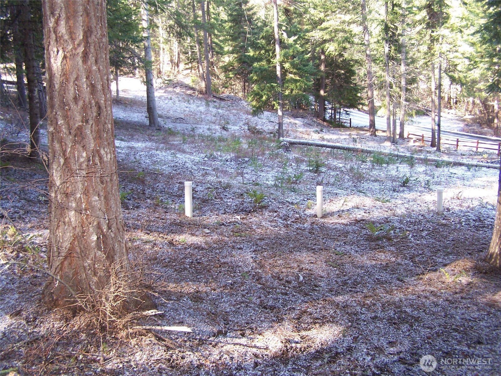 1941 Timber Mountain Loop Cle Elum, WA 98922 - Photo 4 of 31