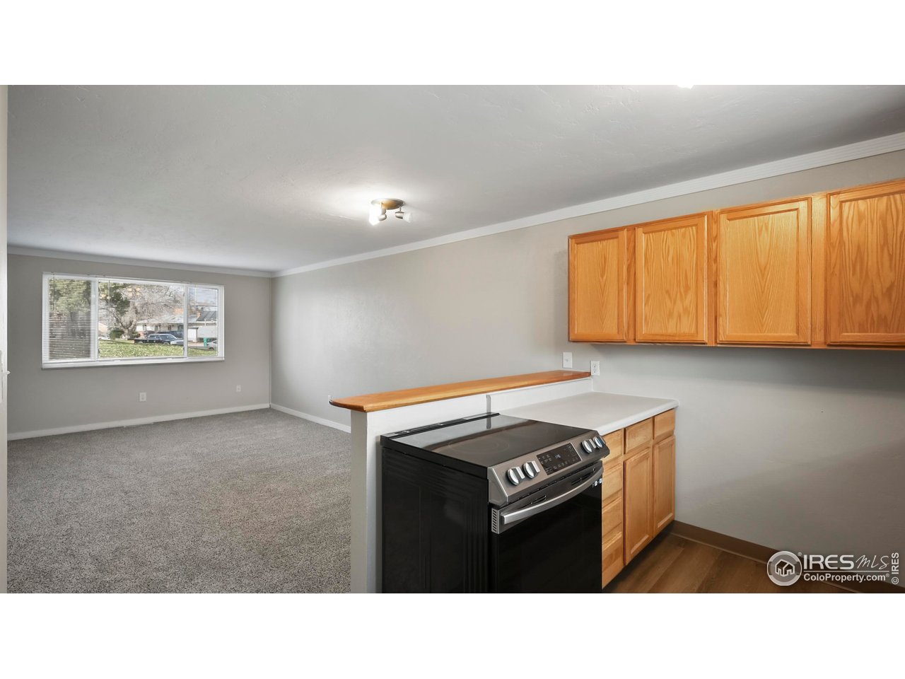 215 Chestnut Street, Unit A5 Windsor, CO 80550 - Photo 6 of 18 a black and white photo of a living room