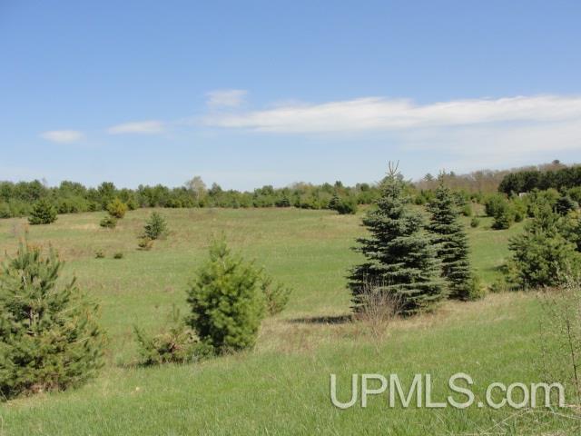 T-wi Youngs Lake Road Dunbar, WI 54119 - Photo 1 of 5