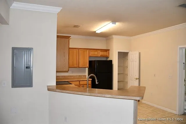 a view of a park that has large trees