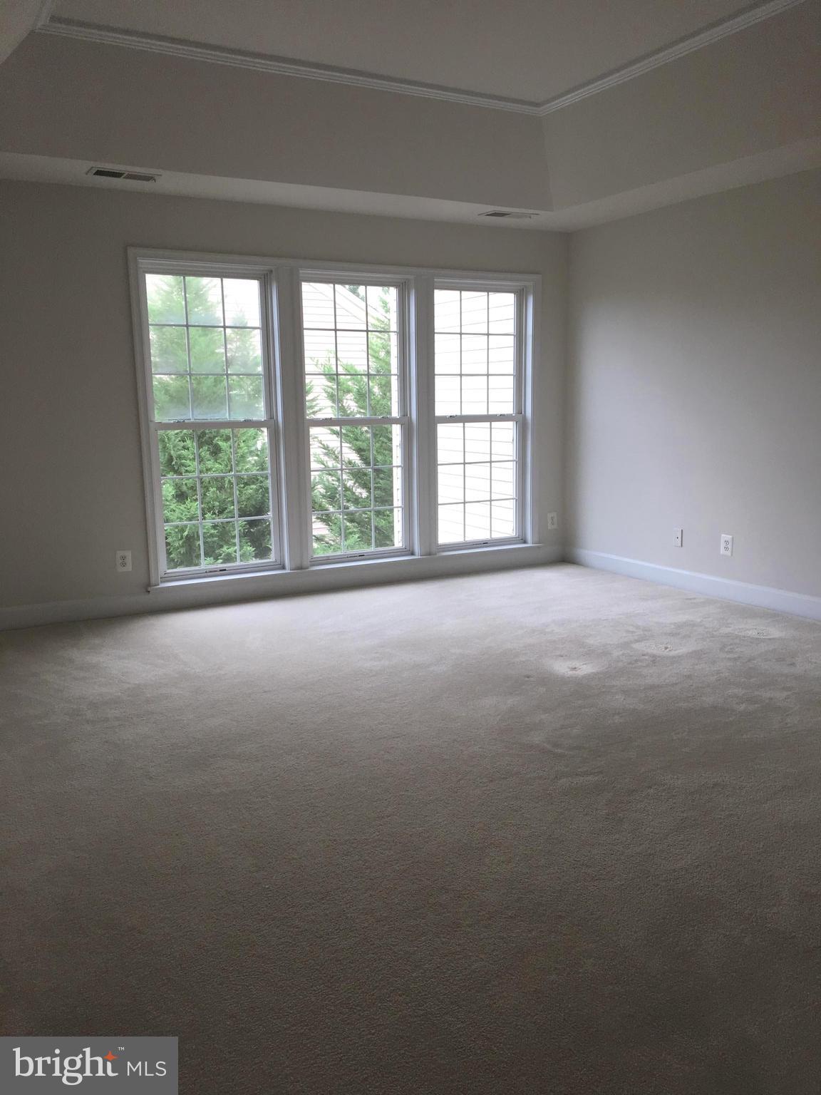 9247 Laurel Ridge Crossing Road Lorton, VA 22079 - Photo 21 of 26 Tray/vaulted ceiling
