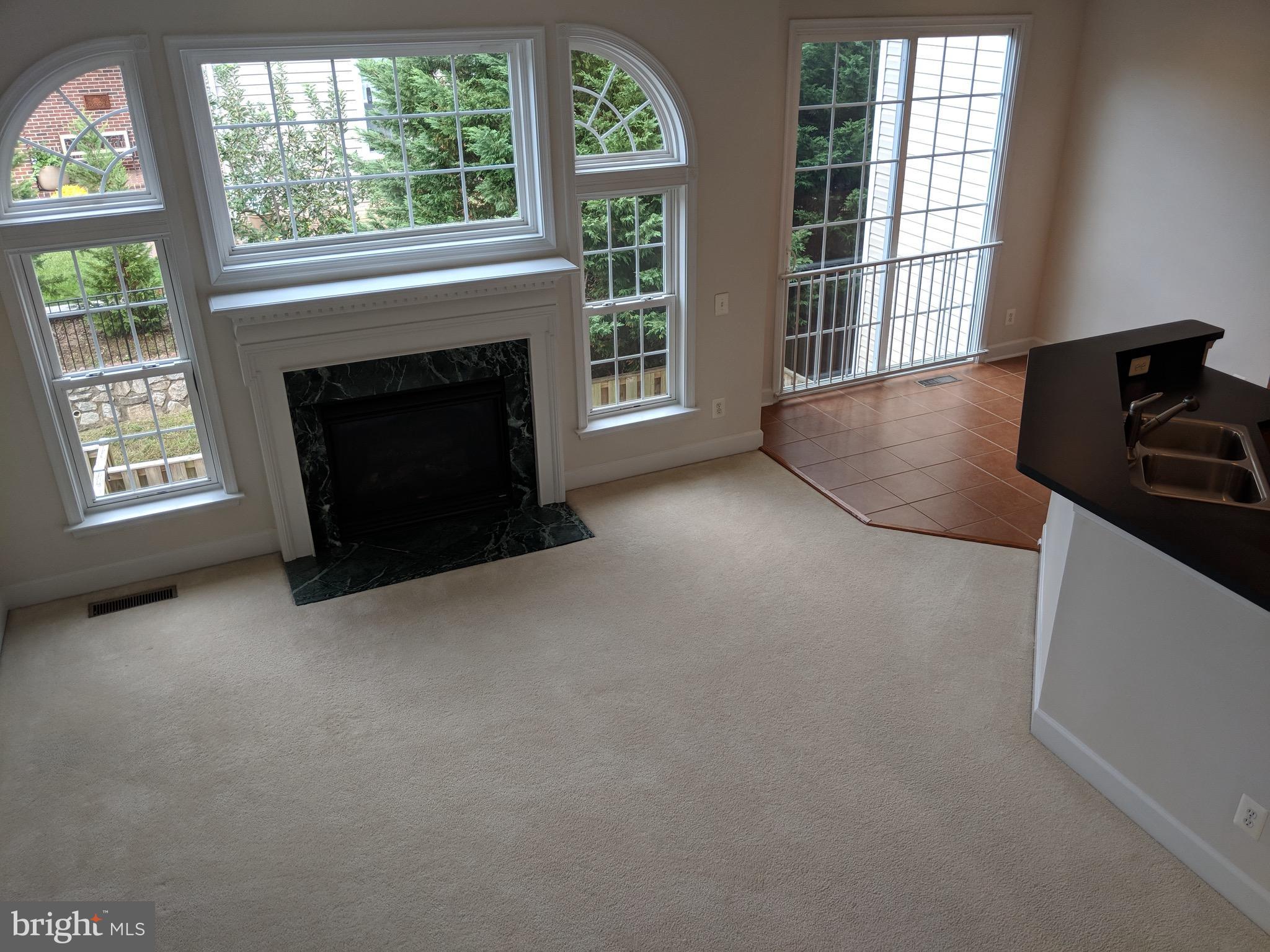 9247 Laurel Ridge Crossing Road Lorton, VA 22079 - Photo 5 of 26 Family Room with granite fireplace