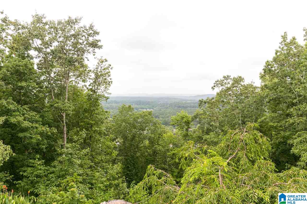 64 Shades Crest Road Birmingham, AL 35226 - Photo 33 of 39