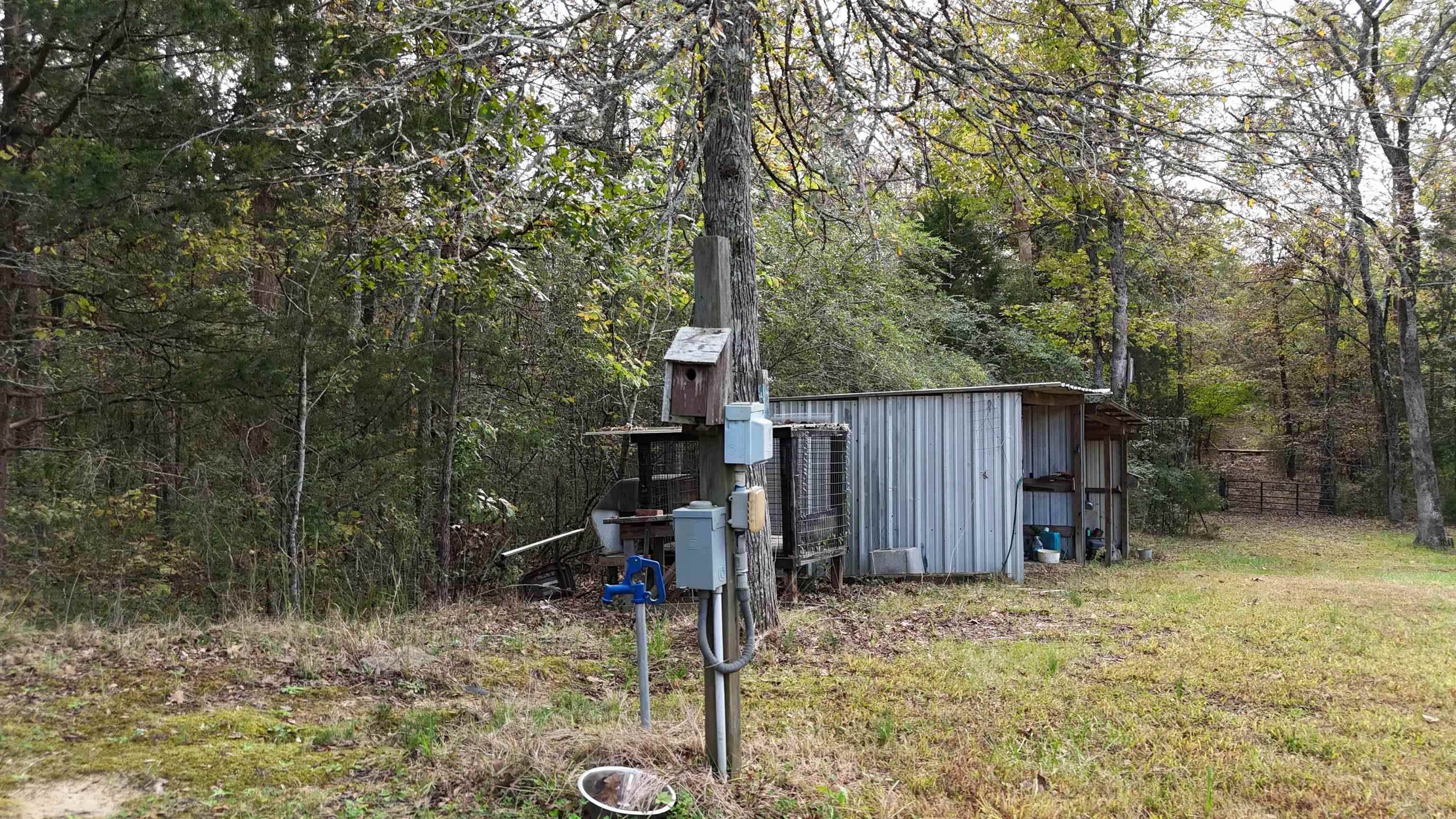 6970 Highway 56 Pauline, SC 29374 - Photo 4 of 7