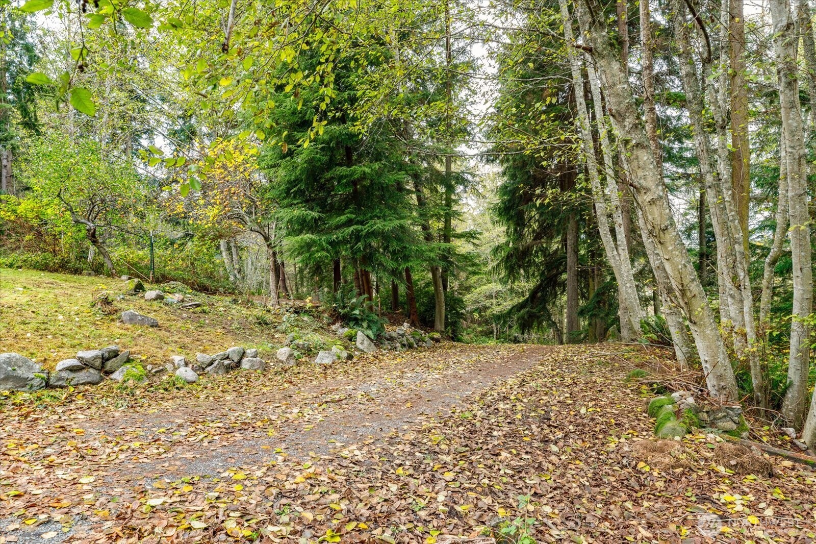 2013 Goss Ridge Road Freeland, WA 98249 - Photo 10 of 24 a view of a yard with plants and trees