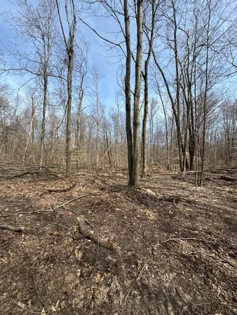 $85,000 | Vl Lake Drive, Allegan, MI 49010