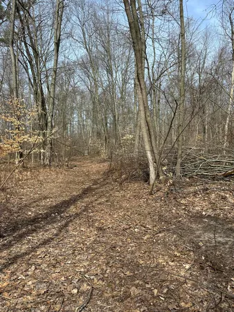 $85,000 | Vl Lake Drive, Allegan, MI 49010