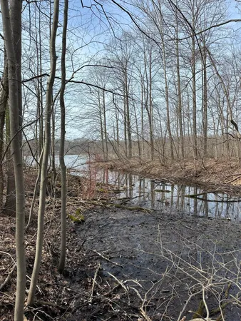 $85,000 | Vl Lake Drive, Allegan, MI 49010