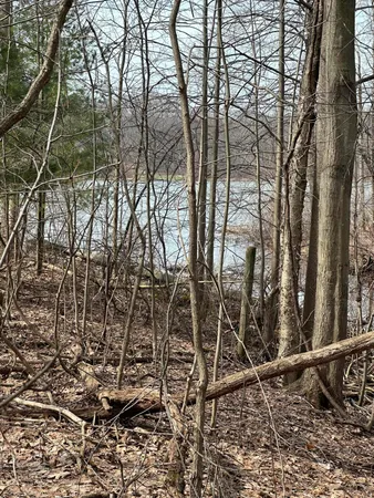 $85,000 | Vl Lake Drive, Allegan, MI 49010