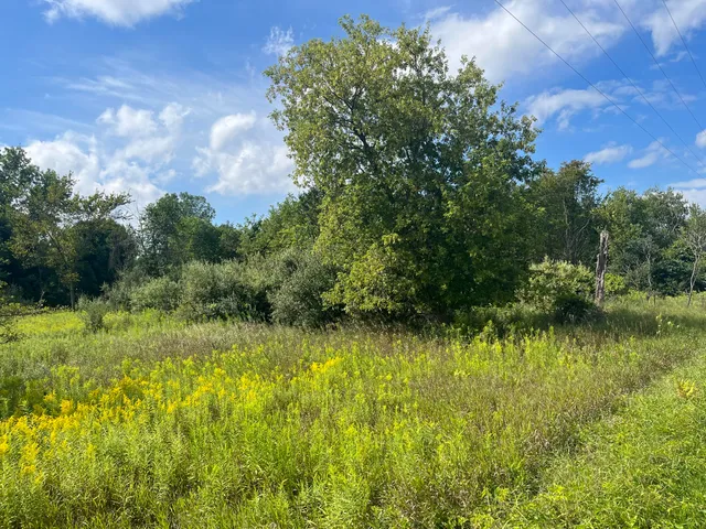 $59,900 | V/l South 3rd Street, Edmore, MI 48829