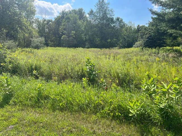 $59,900 | V/l South 3rd Street, Edmore, MI 48829