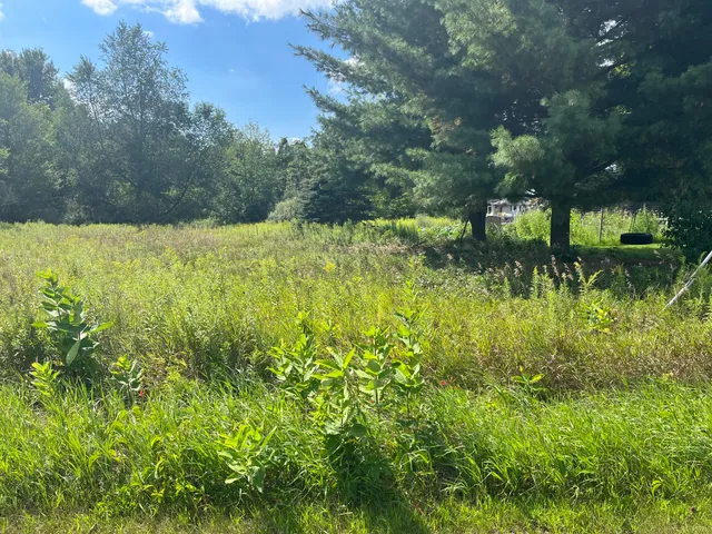 $59,900 | V/l South 3rd Street, Edmore, MI 48829