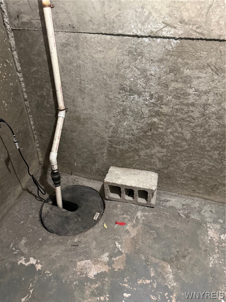 201 Ramsdell Avenue Buffalo, NY 14216 - Photo 21 of 28 Sump pump in full basement