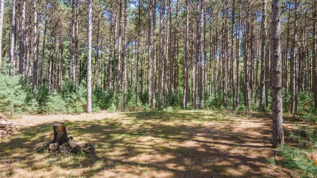 $70,000 | Fawn Lane, Unit 1, Hancock, WI 54943