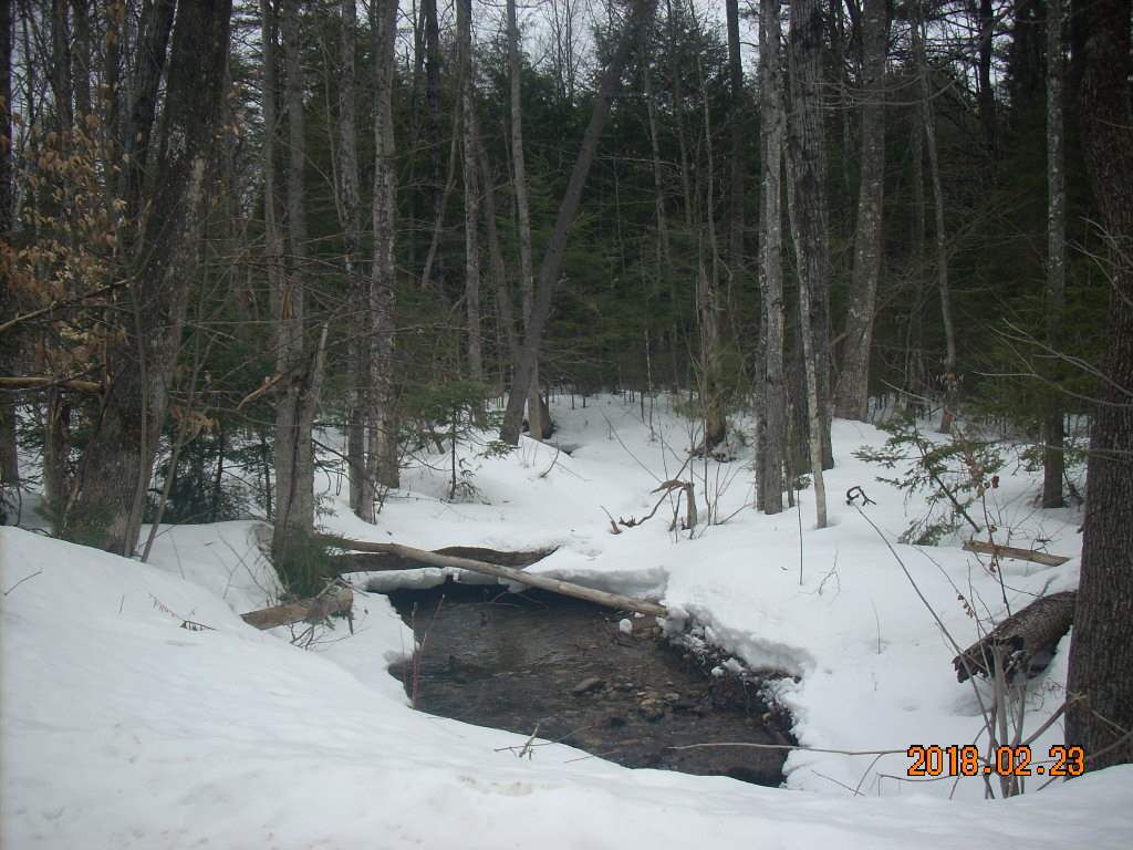 Clough Rd Hill Hill, NH 03243 - Photo 1 of 5 Gallery Image 1
