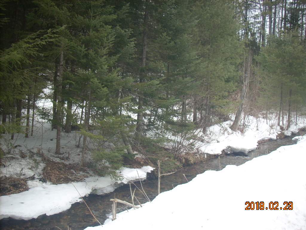 Clough Rd Hill Hill, NH 03243 - Photo 2 of 5 Gallery Image 2
