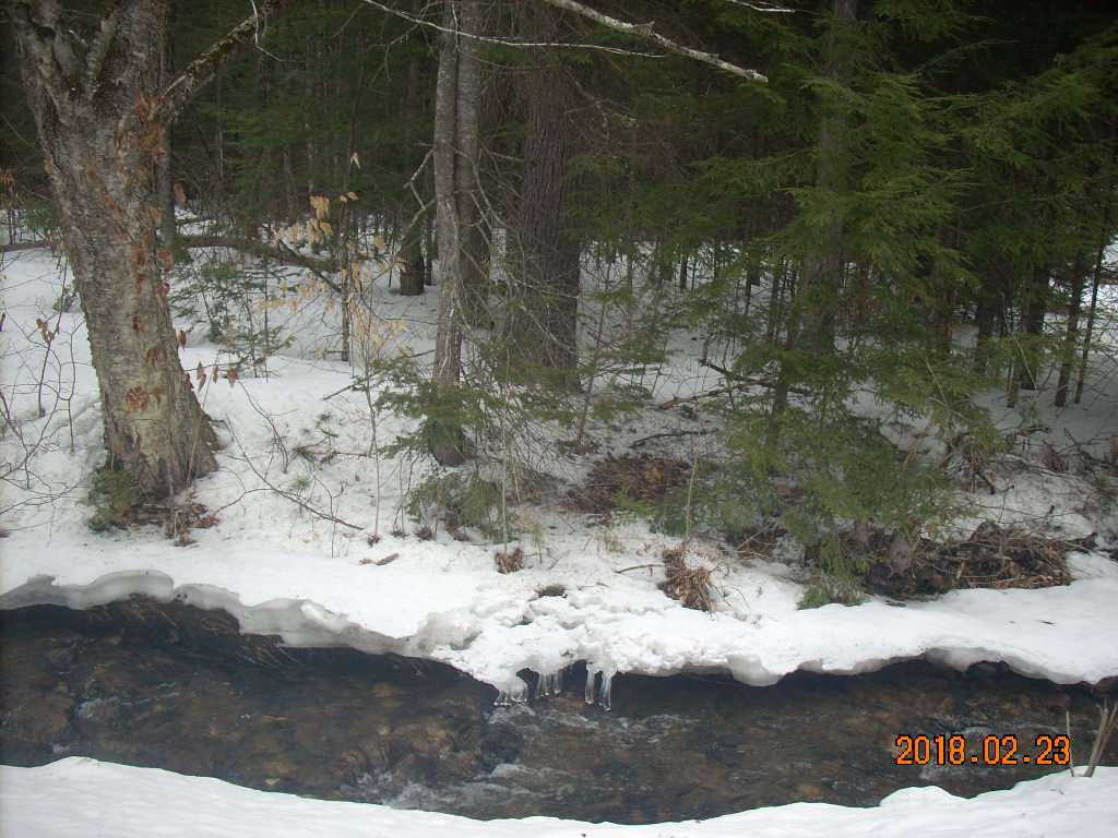 Clough Rd Hill Hill, NH 03243 - Photo 3 of 5 Gallery Image 3