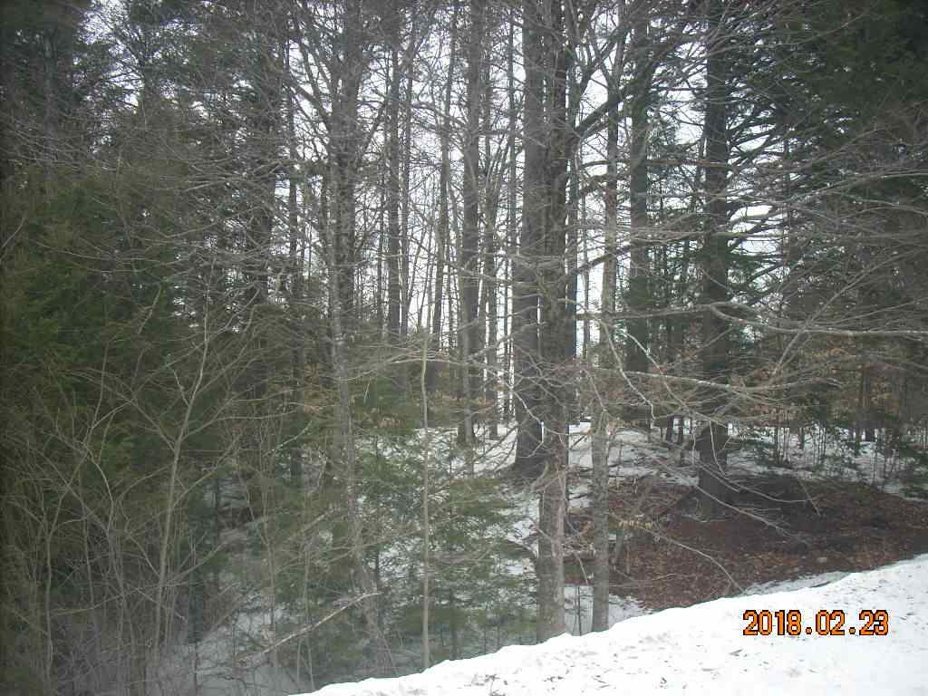 Clough Rd Hill Hill, NH 03243 - Photo 4 of 5 Gallery Image 4