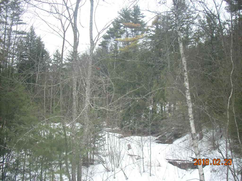 Clough Rd Hill Hill, NH 03243 - Photo 5 of 5 Gallery Image 5